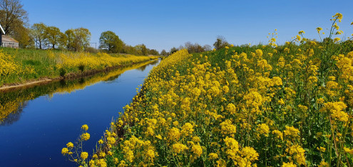 De actualisatie van de Blauwe Omgevingsvisie 2050 (BOVI) – wat vindt de PvdA